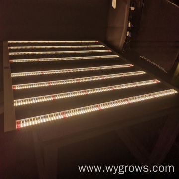 Best LED Grow Light Bar for Indoor Growing